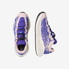 Salomon Women's Aero Glide 4 GRVL "Shadow Gray/Deep Blue/Butterfly"